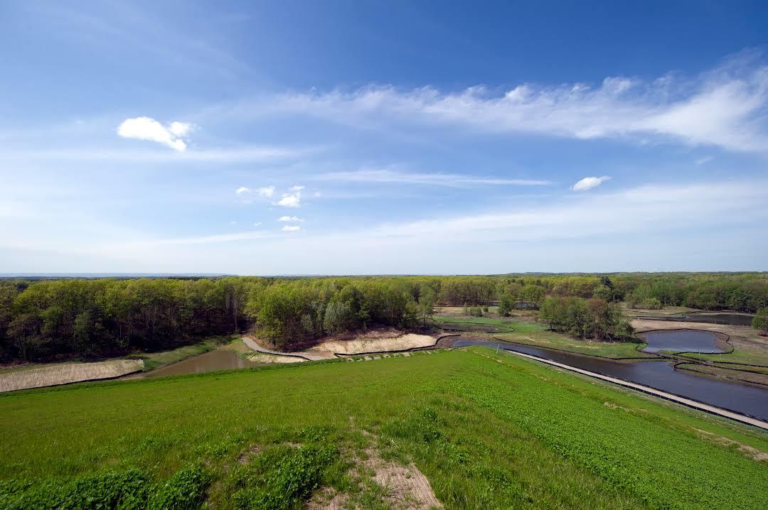 Wildpark Albany Pine Bush